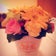 初マタひなの徒然日記＊2018年12月出産予定♪