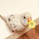 キキちゃんのかわインコ日記