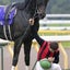 キャロヤージのサムネイル