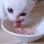 廣田　すずのサムネイル