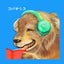 コバヤシコのサムネイル