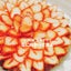 豆柴チワワのサムネイル