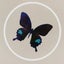 てふてふのサムネイル