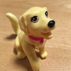 わんわんのプロフィール