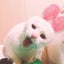 ケガニのサムネイル