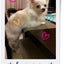 kecobinのサムネイル