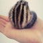 Cocoのサムネイル