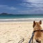 AlohaFromMaineのサムネイル