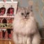 anne-529777のサムネイル