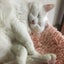 うづきのサムネイル