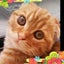 画像 愛知のちーのブログのユーザープロフィール画像