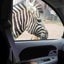 砂まみれのサムネイル