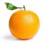 画像 A Clockwork Orange 非嘔吐過食_間違いだらけダイエットライフのユーザープロフィール画像