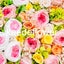 kaedeflowerのサムネイル