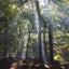 iroのサムネイル