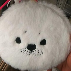 きゅんのプロフィール