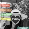 かばさんのプロフィール