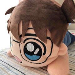 星渡のプロフィール
