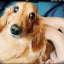 ベーグルloveのサムネイル