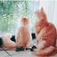画像 姫❤の犬 ミニピン&猫 メインクーン&ノルウェージャン・フォレストキャットのブログのユーザープロフィール画像