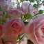 画像 Belle Fleurs michika〜美しい花々〜のユーザープロフィール画像
