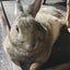 みぃのサムネイル