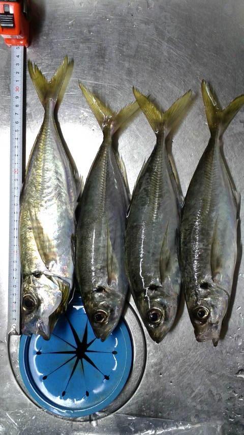 ヌーボコルトプロトタイプGNCPS-542UL-HSの画像紹介です(•ө•)♡ | おっ