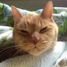 ちゃっちのプロフィール