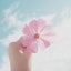 saki❁*.ﾟのサムネイル