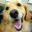 ちゃうのサムネイル