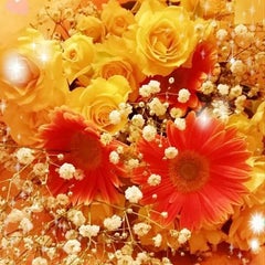 ♡Ка☆па♡のプロフィール