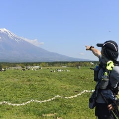 saku100kmのプロフィール