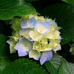 saengkiのプロフィール