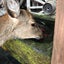 そらたのサムネイル