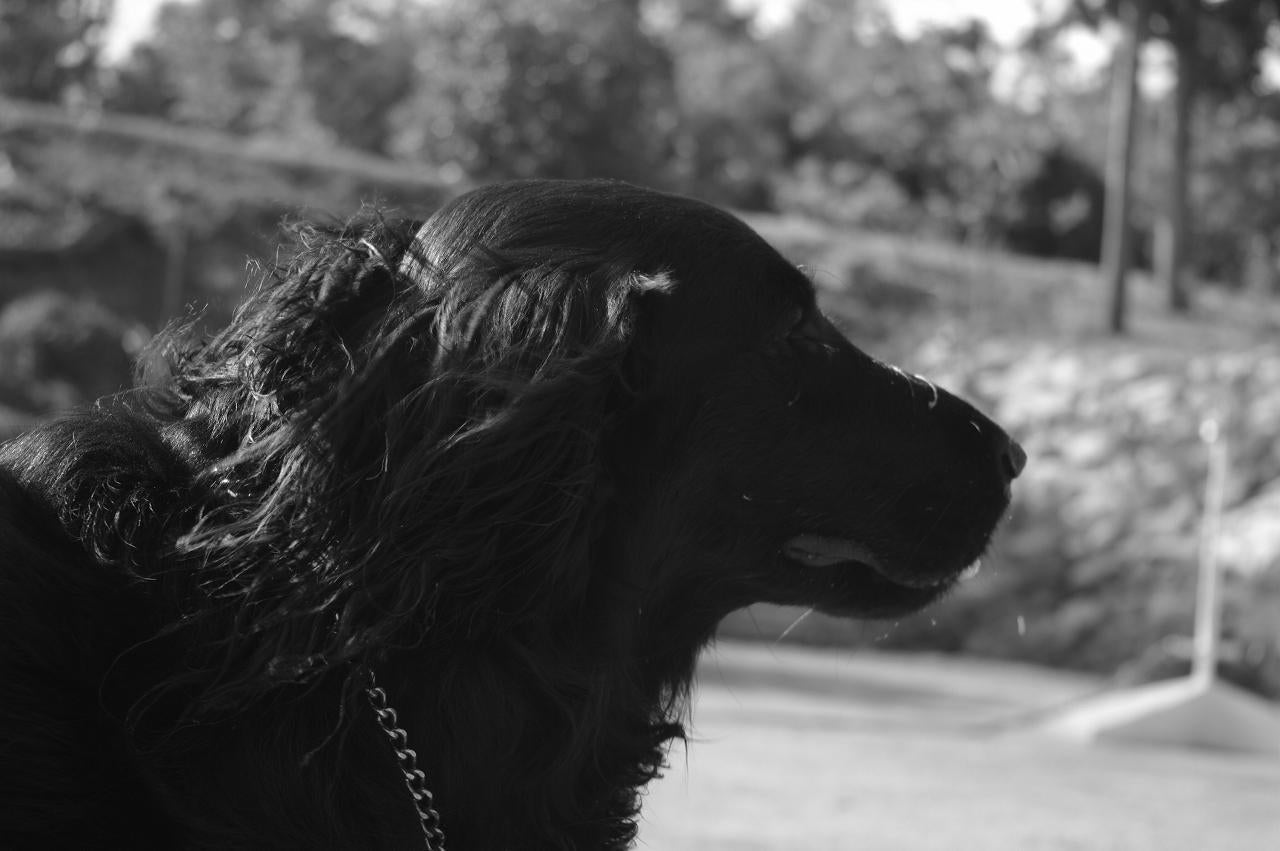 カムカムエブリバディ have a nice day!