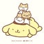 きぃちゃんのサムネイル