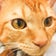 トリミングBLOG★