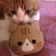 画像 ＊スタバとスイーツと愛猫と、まったりライフ＊のユーザープロフィール画像