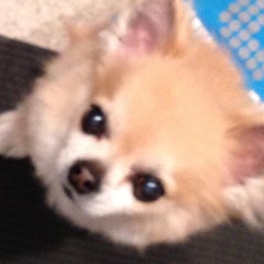 悠悠閑閑のプロフィール
