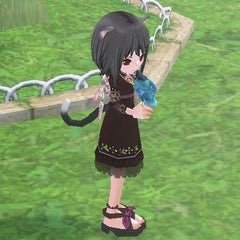 にゃみにゃのプロフィール