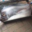 bo-baicherのサムネイル