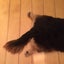 つばきのサムネイル
