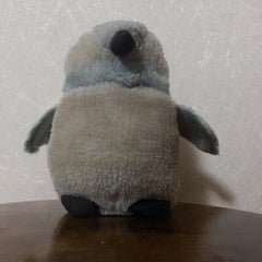 照井高之のプロフィール