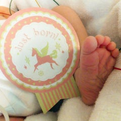 LINO*のプロフィール
