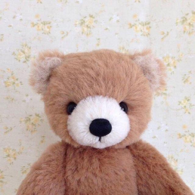 Cotoro Bearさんのプロフィールページ