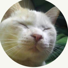 あたりのプロフィール