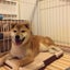 でこぼこのサムネイル