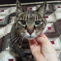 サトサンのプロフィール