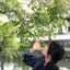 Lilicaのサムネイル