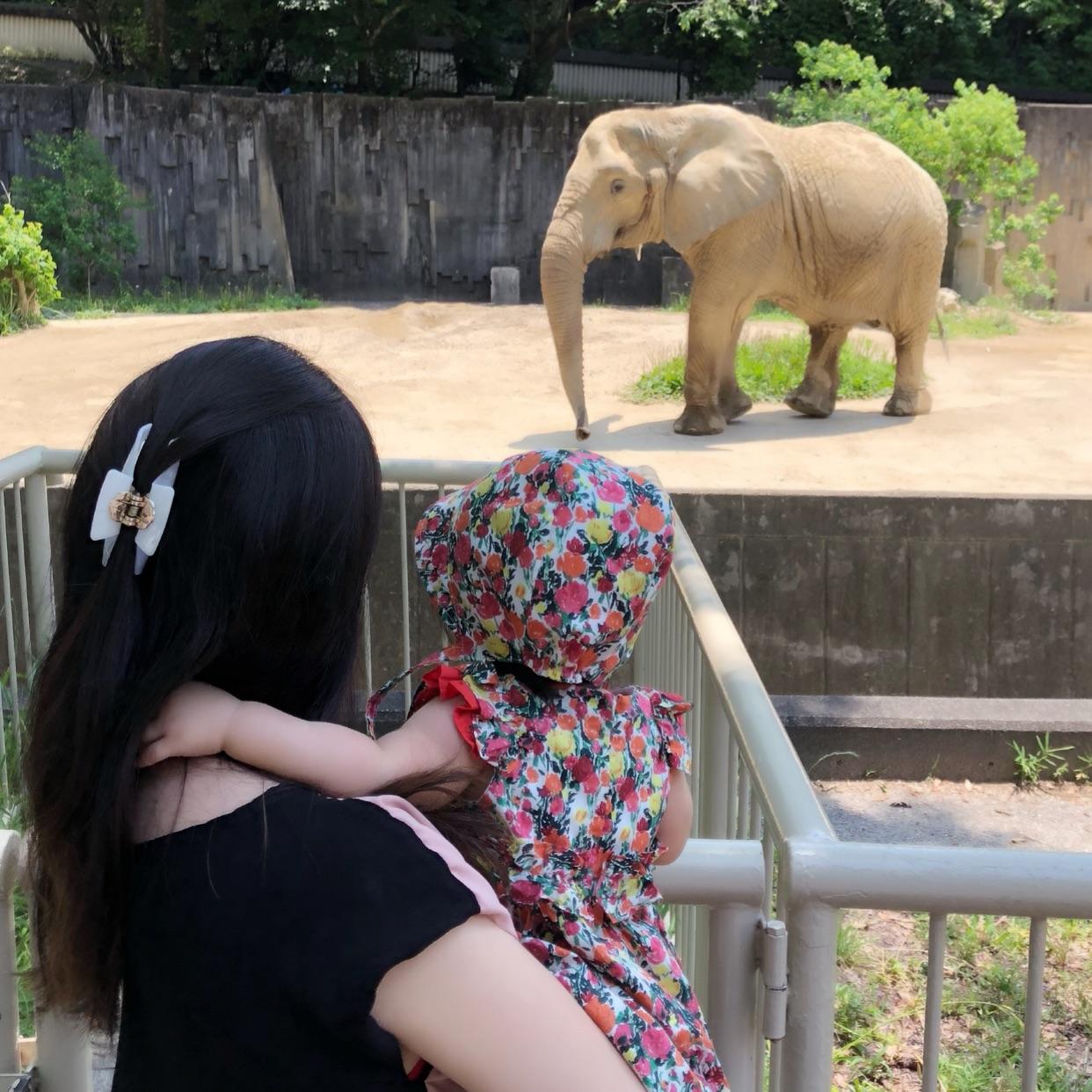 性別判明ショック ろどちゃんのブログ